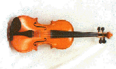 violin2.jpg (19622 bytes)